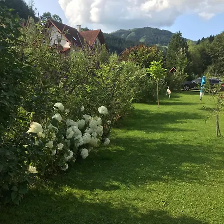 Haus Almblick Gasen