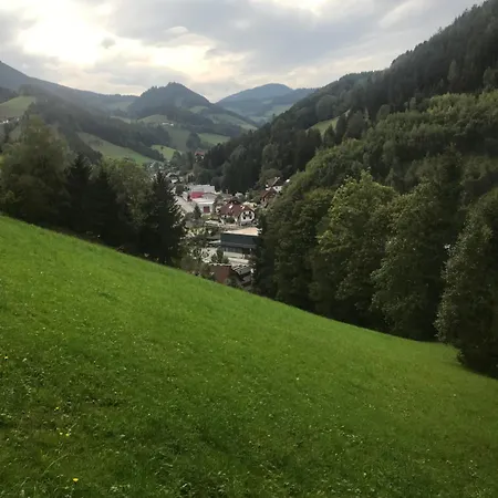 Haus Almblick * Gasen