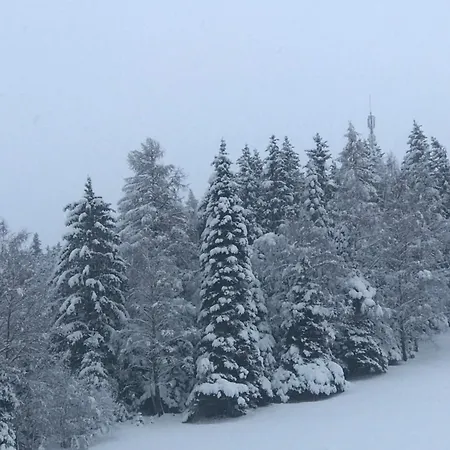 Haus Almblick Lägenhet