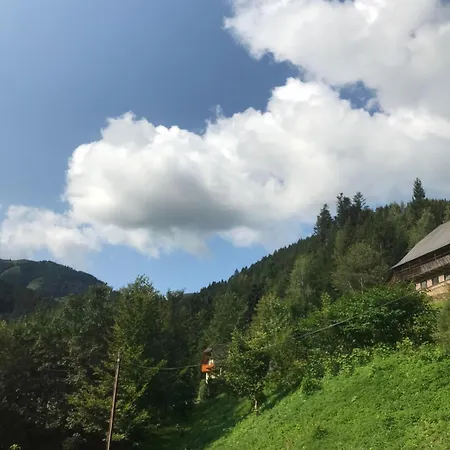 Lägenhet Haus Almblick Gasen