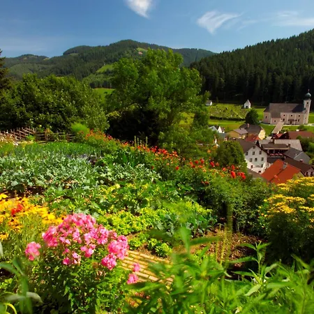 Haus Almblick 公寓 Gasen