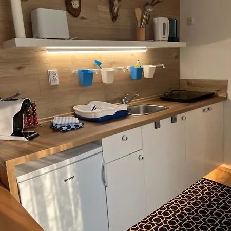 Apartment Haus Almblick Gasen