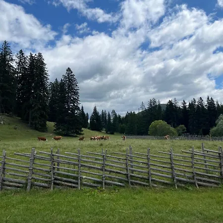 Lägenhet Haus Almblick Gasen