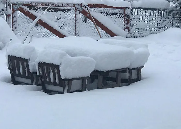 Haus Almblick شقة