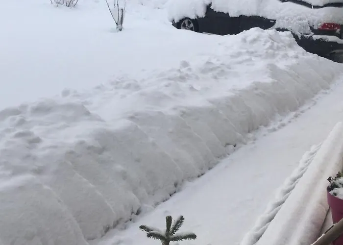 Apartment Haus Almblick Gasen