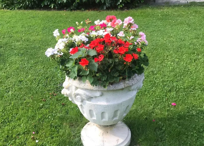 Haus Almblick Apartment *