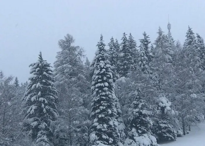 Haus Almblick شقة